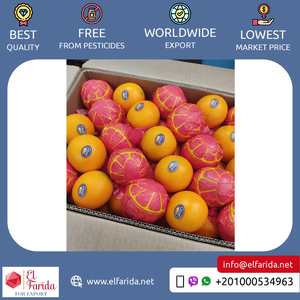 Chất Lượng Tốt Top Bán Tinh Khiết Và Tự Nhiên Khỏe Mạnh & Bổ Dưỡng Tươi Citrus Trái Cây Valencia Cam Từ Ai Cập Xuất Khẩu - Product Image 5