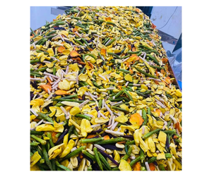 Mezcla de Vegetales Secos Premium de Vietnam para Compradores al por Mayor - Mezcla de Productos Crujientes para la Producción de Refrigerios Saludables - Product Image 2