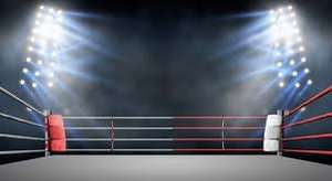 Logotipo personalizado Color Material de nailon de alta calidad profesional MMA jaula anillo cuerda espaciador Equipo de Boxeo - Product Image 4