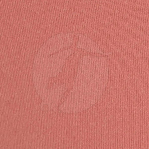 Short de course à logo personnalisé pour femmes Nouvelle arrivée Short d'entraînement respirant à la mode au meilleur prix - Product Image 6