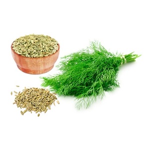 Extracto de Semilla de Hinojo, Suplemento Herbal Natural para la Digestión, Bienestar, Vitalidad y Salud Diaria, Nutrición a Base de Plantas - Product Image 2