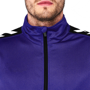 Trajes de jogging sólidos Unisex de tamaño personalizado de fabricación 2025, chándales con cremallera de alta calidad, estilo informal amigable para invierno 100% - Product Image 3