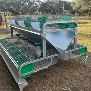 <span class=keywords><strong>Cage</strong></span> à lapins de style européen à 24 cellules pour l'élevage en ferme, <span class=keywords><strong>cage</strong></span> intégrée pour l'élevage et la croissance des lapins - Product Image 1