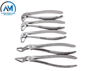 10-Piece German Stainless Steel <b>Dental</b> Surgical Instruments Set Manual Power Source Extraction Forceps - Product Image 5