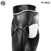 Protecteur d'aine d'équipement de protection d'OEM pour l'entraînement de boxe d'arts martiaux MMA Taekwondo