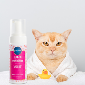 Champú en Espuma Sin Enjuague de Primera Calidad al por Mayor Pawlene Dolce 150 ml para Perros y Gatos de Lujo con Fragancia Suiza Sin Parabenos ni Colorantes - Product Image 1