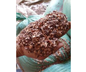 Précommandez des aliments pour animaux à des prix préférentiels 100% naturels. - Product Image 1