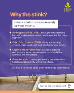 Biological Waste Water Treatment - Product Image 3