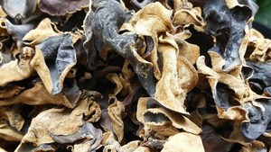 Hongo Auricularia Auricula Seco, Hongo de Oreja de Madera Natural en Rodajas para Cocinar y como Alimento Saludable - Product Image 5