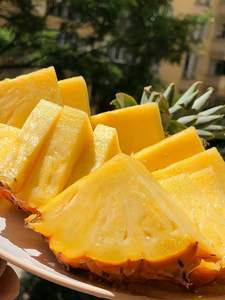 Concentré d'ananas vietnamien en vrac: qualité sans compromis, prix compétitif - Product Image 3