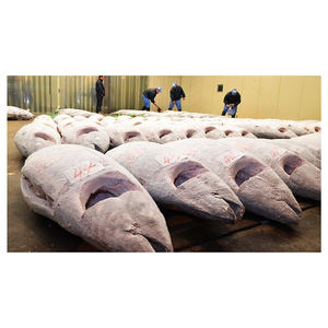 Atún Amarillo Congelado de Grado A de Alta Calidad, Proveniente de Fábrica, Bajo en Carbohidratos, Disponible para Demanda a Granel Continua - Product Image 5