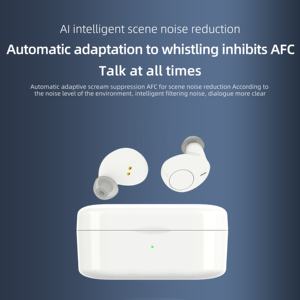 Écouteurs sans fil rechargeables de meilleure marque bon marché Personnaliser les aides auditives rechargeables de Chine en test pour les personnes âgées surdité - Product Image 2