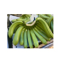 Bananas Verdes Cavendish Frescas de Alta Calidad, las Más Vendidas, en Cajas de Cartón de 4-5-6 Racimos, Directamente del Exportador de Vietnam