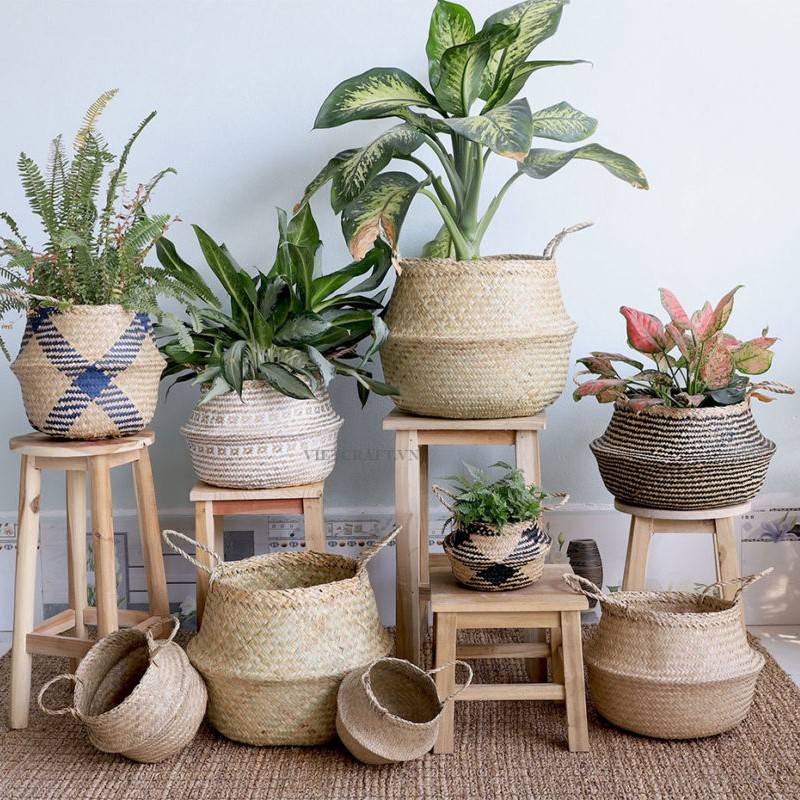 ธรรมชาติ