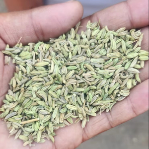 Semillas de Anís Crudas Secas Orgánicas de Alta Calidad en Oferta |   Especias Sin GMO |   Horneado, Cocina, Té de Hierbas |   Sabor Dulce y Aromático - Product Image 2