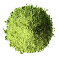 Poudre de feuilles de Moringa de qualité supérieure, extrait végétal 100% naturel, qualité alimentaire, cultivé en milieu sauvage, disponible en bouteilles et en fûts, en vrac