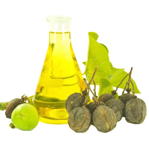 Huile de Jatropha biologique de première qualité, raffinée, pour la cuisine, en vrac, en bouteille en plastique, prix de gros - Product Image 1