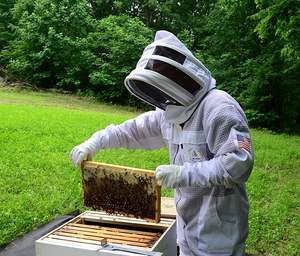 Traje de abeja de 3 capas con velo de esgrima Un par de guantes Traje de apicultura ventilado a prueba de picaduras - Product Image 4