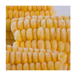 Venta caliente de maíz dulce congelado de alta calidad listo para usar para fábricas de alimentos enlatados restaurantes de servicio rápido y fabricantes de alimentos - Product Image 5