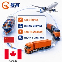 Agent maritime et aérien LCL Chine, expédition express DHL vers le Brésil, transitaire