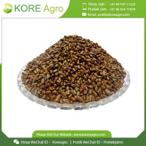 เมล็ดขี้เหล็กสำหรับชงชาสมุนไพรแบบดั้งเดิม - Product Image 4