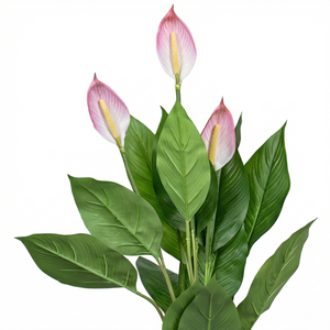 Artificial <b>Blush</b> Peace Lily Potted Plant - Product Image 4