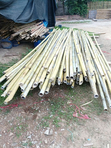 เสาไม้ไผ่ธรรมชาติที่เป็นมิตรต่อสิ่งแวดล้อมสำหรับการออกแบบภูมิทัศน์รีสอร์ทและโครงสร้างกลางแจ้งผลิตภัณฑ์แฮนด์เมดที่ยั่งยืนจากเวียดนาม - Product Image 5