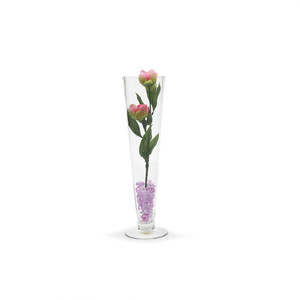 VTV0416 - Florero de Vidrio Tipo Pilsner - 16 - Product Image 2