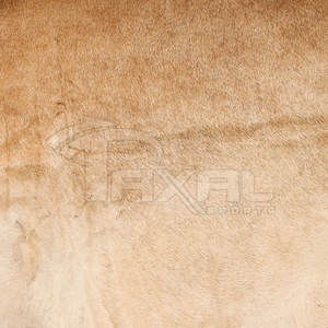 High Quality Cowhide Western <b>Rugs</b> Custom Size OEM Service Price - Product Image 6