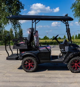 Carrito de golf económico de 2, 4 o 6 plazas con motor potente - Product Image 1