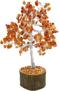 Vente en gros de pierres précieuses en cornaline rouge naturelle M-SEAL base en bois pour décoration de maison style d'amour Reiki naturel - Product Image 5