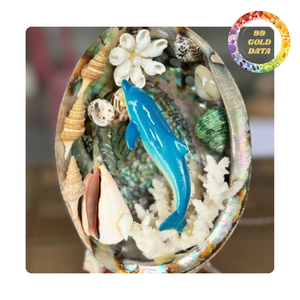 Concha de abulón pulida de Vietnam | Tamaño grande con Bonitos colores - Product Image 3