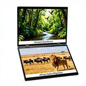 Écran LCD double de 14 pouces avec support de bras, un seul câble, moniteur triple portable <span class=keywords><strong>pour</strong></span> ordinateur portable de jeu, <span class=keywords><strong>PC</strong></span> de 12 à 17,3 pouces - Product Image 3