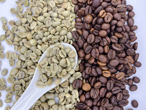 Grains de café vert Arabica vietnamien-Saveur forte, origine propre, norme d'exportation, approvisionnement en grande quantité - Product Image 5