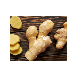 PRIX DE GROS DE RACINE DE GINGEMBRE FRAIS DE HAUTE QUALITÉ EMBALLÉ DANS UN CARTON DISPONIBLE AUPRÈS DE L'EXPORTATEUR DU VIETNAM - Product Image 1