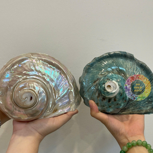 Seashell Natural Tabletop Accent <b>Ornament</b> Created from Polished Marine Shells Ethically Sourced Vietnam - Caryln 0084935825297 - Product Image 1