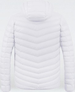 2025 nouveauté doudoune hommes haute qualité à capuche vers le bas logo personnalisé vestes de mode de qualité supérieure - Product Image 2