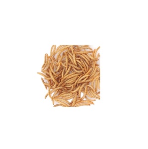 Venta directa de harina de soja, gluten de maíz, harina de gluten de arroz en bolsas de 50g para aves de corral, animales, peces, cerdos, perros, piensos para ganado - Product Image 3