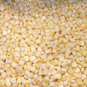 Maíz Dulce Congelado al por Mayor de Vietnam, Granos de Maíz envasados al vacío a granel, Conservados en agua, Proceso de Congelación LQF, Vegetales Frescos - Product Image 1