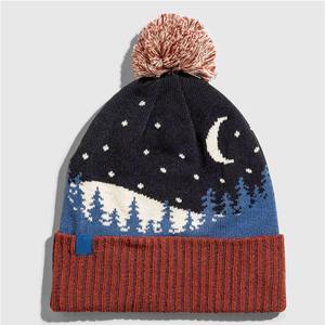 Haute qualité unisexe hiver bonnet casquettes 100% laine côtelé tricoté vêtements de plein air nouveauté chaud hiver accessoire - Product Image 1