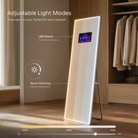 Miroir pleine longueur LED à émission frontale avec gradation progressive, éclairage au sol IA, Bluetooth, personnalisable, pour dressing, grand format, fournisseur