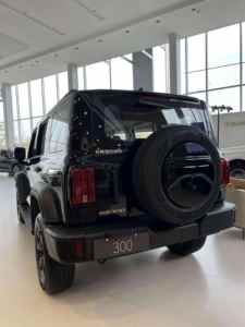 Tank 300 Super Confortable Hi4-T VÉHICULE D'OCCASION Modèle Hybride Nouvelle Énergie Tank 300 Vente au Qatar Voiture 4x4 Principale - Product Image 6