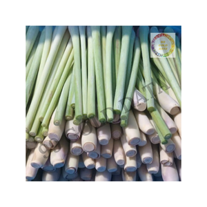 Tranches de citronnelle congelées fraîches avec arôme naturel-Emballage en gros en vrac pour restaurants et fabricants de produits alimentaires - Product Image 2