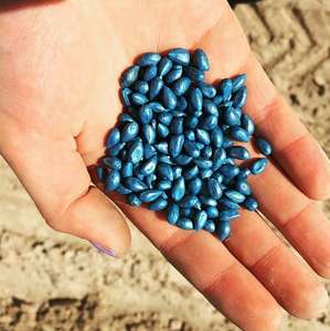 Graines de coton de haute qualité directes d'usine à vendre - Product Image 4