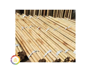 Poteaux en bambou de 2 à 10cm de diamètre pour la construction et la décoration intérieure Longueur de 1 à 8m avec options personnalisées Branches droites Vietnam 99GD - Product Image 6