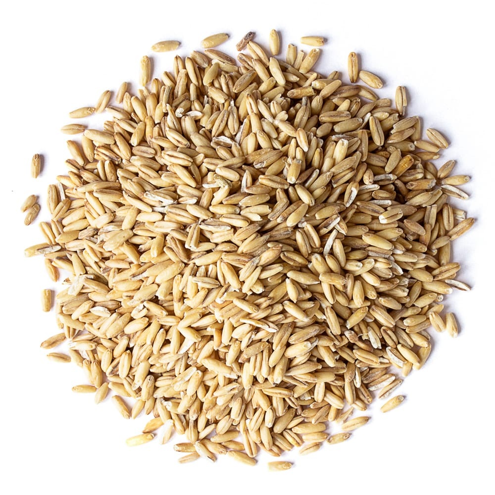 High Quality Cheap Wholesale Price Organic Oats Grains For sale