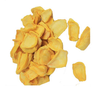 Chips crujientes de Jackfruit hechos de frutos secos Chips crujientes de Jackfruit llenos de sabor Chips crujientes de Jackfruit listos como sabrosos aperitivos - Product Image 1