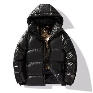 2025 mode hommes doudoune OEM personnalisé chaud hiver manteau fermeture éclair à capuche bulle veste extérieure vers le bas Style - Product Image 3