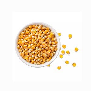 Chất lượng cao khô bướm bỏng ngô hạt từ Brazil Gourmet Ngô Ngô để bán - Product Image 6