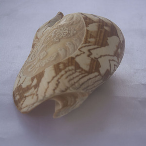 Cymbiola sculpture style Vishnu Ornement SEASHELL BIJOUX Religieux Shell Motif Sculpture de Vishnu Dieu - Product Image 4